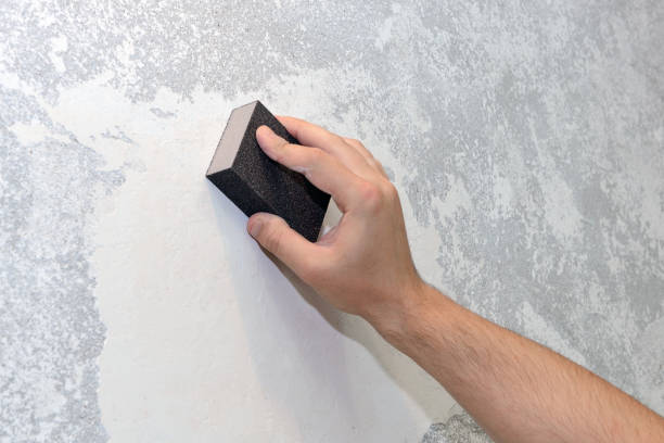 Best Mold Damage Restoration  in Miles City, MT