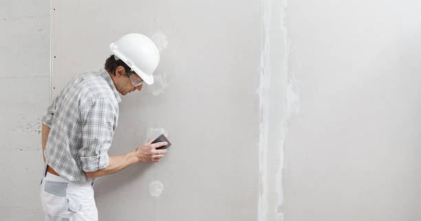 Best Post-Remediation Verification Testing  in Miles City, MT
