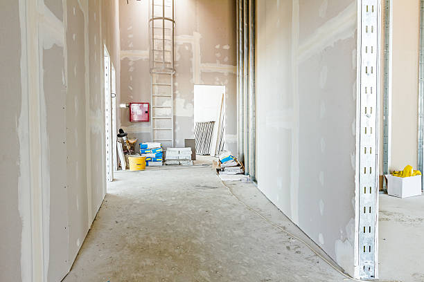 Best Post-Construction Mold Inspection  in Miles City, MT